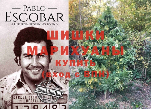 экстази Богородицк